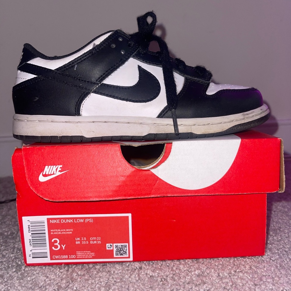 Little Kids Nike Dunk Low